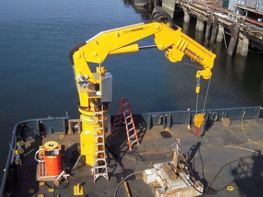 1 - 30T Elektryczny żuraw morski z wysięgnikiem Q235B Yacht Deck Crane